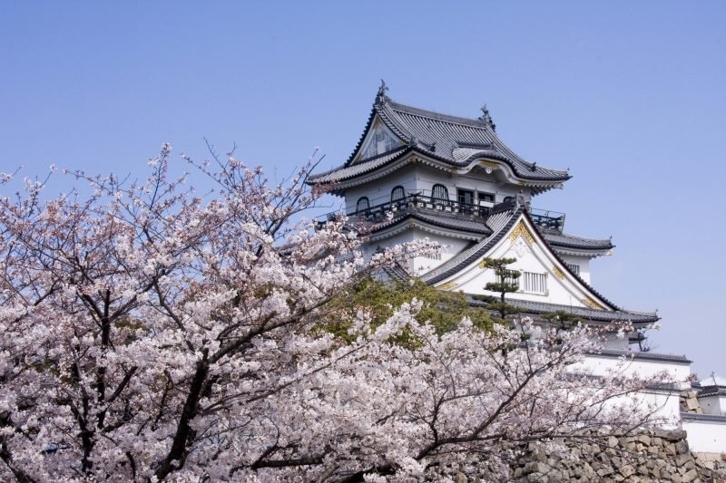 🌳 기시와다 시립 마나비 중앙공원(기시와다시리츠 마나비추오코엔) 이미지 6